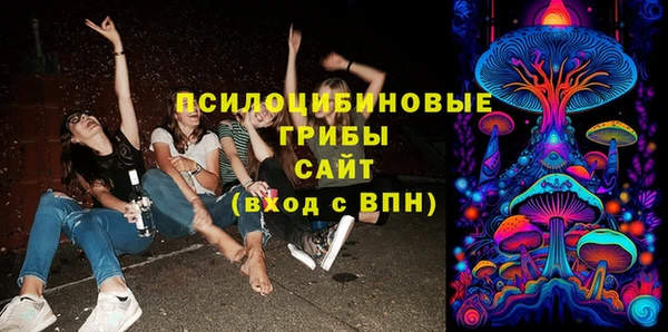соль курить ск Алзамай