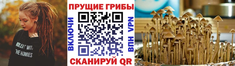 Псилоцибиновые грибы мицелий  Усолье-Сибирское 